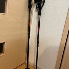 【決定済】登山杖　トレッキングポール