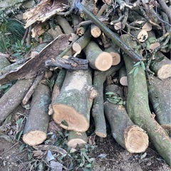 クヌギの木　薪ストーブにどうぞの画像