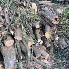 クヌギの木　薪ストーブにどうぞの画像