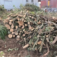 クヌギの木　薪ストーブにどうぞ