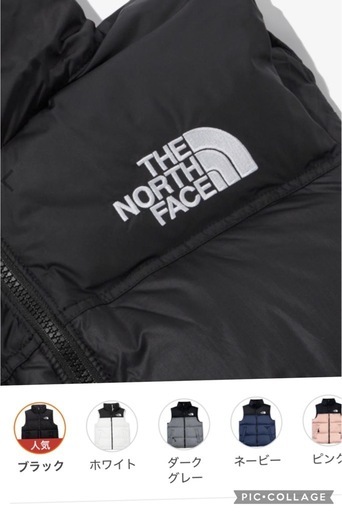 新品 North Face ダウンベスト サイズL