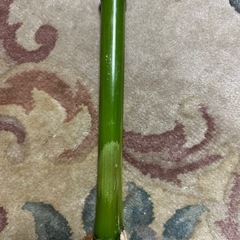 火吹き棒