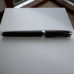 コーチ coach シグネチャー柄 万年筆 引き取りのみの画像