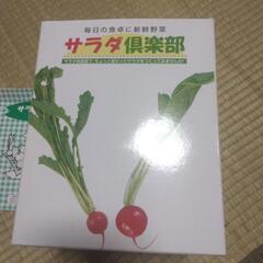 サラダ娯楽部