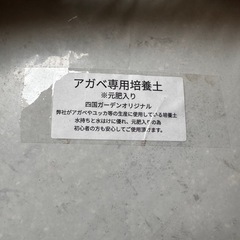 アガベ専用用土 アガベ 多肉 植物 観葉植物 引き取りのみ