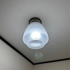 ランプカバー（2）