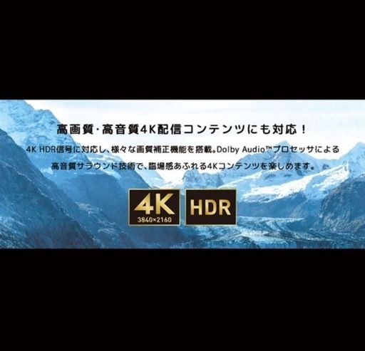 【処分セール!!!】ORION 50インチチューナーレステレビ