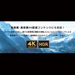 【処分セール!!!】ORION 50インチチューナーレステレビの画像