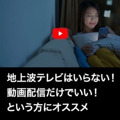 【処分セール!!!】ORION 50インチチューナーレステレビの画像