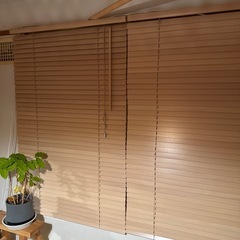 ニトリ　木製ブラインド　ヴェントNA 
88X138