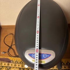 ロデオボーイ　乗馬マシンの画像