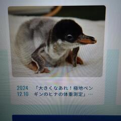 12月21日最低１℃、名古屋港水族館に行ってくださる方、締切は今夜20時 - 友達