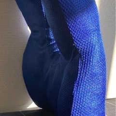 True  Sleeper腰用パット　中古の画像