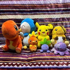 ポケモンぬいぐるみ　大小