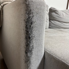 急ぎで探してます！ニトリで大人気シリーズのソファーの画像