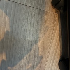 キャスター付き！折りたたみベット　の画像