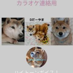 【カラオケ】🎤メンバー随時募集してます！ - 友達