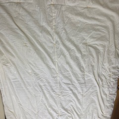綿掛け布団1枚の画像