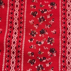 赤色トレーナーの画像