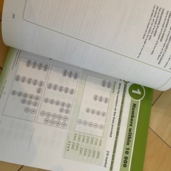 シンガポール算数 LEARNING MATHEMATICS - SAPの画像