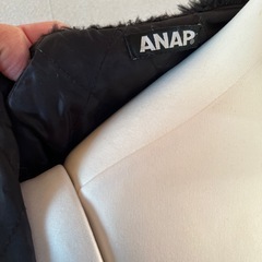 ANAPジャケットの画像