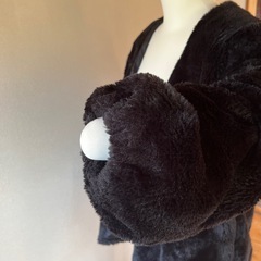 ANAPジャケットの画像