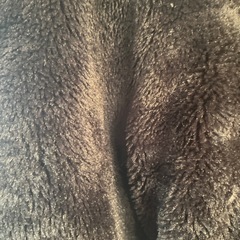 ANAPジャケットの画像