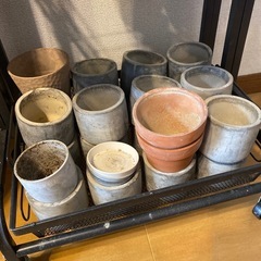 DAISO ダイソー　セメント鉢×20個 