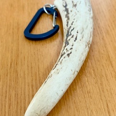 鹿の角キーホルダーの画像
