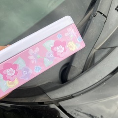 ミニー空缶ピンクの画像