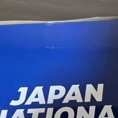 サッカーボール型　ルームライト　日本代表の画像