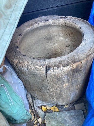 キネ✖️3本とウスのセット