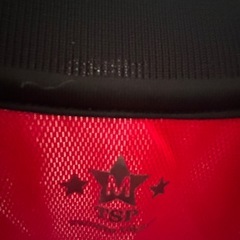 TSPマーク入りシャツの画像