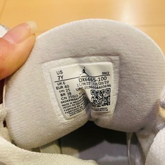 NIKE Air Jordan 3 "Hide N Sneak"の画像