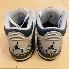 NIKE Air Jordan 3 "Hide N Sneak"の画像