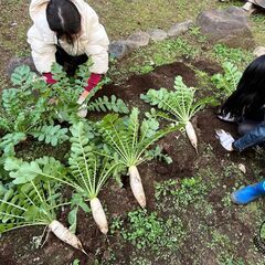 文京区・東大前駅から徒歩５分　放課後児童クラブのような小学・中学...