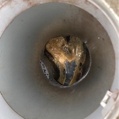 ⭐︎年末の大掃除に排水管洗浄いかがですか？⭐︎