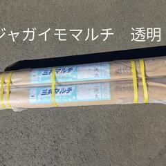 ジャガイモマルチ　ジャガイモ透明マルチ　三共透明マルチ