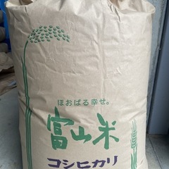 コシヒカリ　米　R6年　新米　玄米30kg
