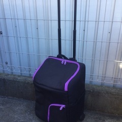 サーモス 保冷 ショッピング カート 25L RDF-025W ...