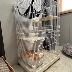 猫　2段　ケージの画像