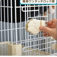 猫　2段　ケージの画像