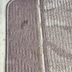 古い電気カーペット 汚れあり ペット用などにの画像