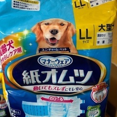 〜お話し中〜使ってくれるワンちゃんいましたら…の画像