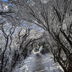 気軽な感じで山登りに行ける山友さん募集です😃