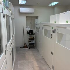 トリマーさんを募集しています。の画像