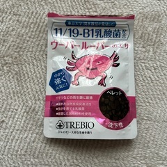 ウーパールーパー