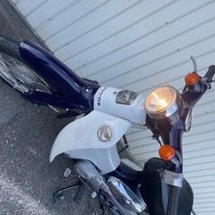 リトルカブ　の画像