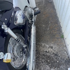 リトルカブ　の画像