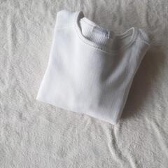ZARA　大きめスウェット　しょーとたけあ